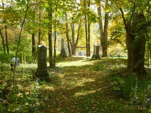 Stillman Cemetery This cemetery is located on a hill overlooking North Main Street by State Road 244 in Alfred. The cemetery is in very...