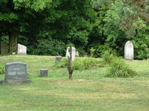 Basswood Hill Cemetery is located behind St Pauls Lutheran Church, on County Route 15 in the Town of Allen. Commonly called the St...