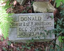 Donald Maitland