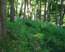 Union Cemetery2