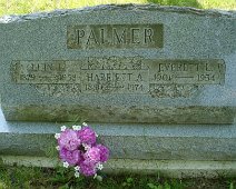 Fairview Palmer