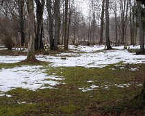 Merwin Cemetery Street View