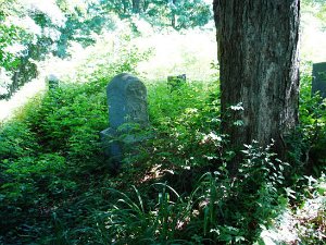 Bailey Hill Cemetery Bailey Hill Cemetery is located on Bailey Hill Road in a blackberry thicket. The cemetery was cleaned up several years...