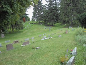 Woodlawn Cemetery "Woodlawn Cemetery in Almond is a well cared for cemetery located on Karr Valley Road just north of Route I-86." PLEASE...