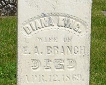 Diana King Branch