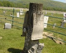 Levi Merriman Tree Monument