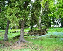 Old Cemetery Section