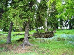 Canasarega Cemetery The Canaseraga Cemetery is located on a hillside just west of the village of Canaseraga in the Town of Burns, NY. It is...