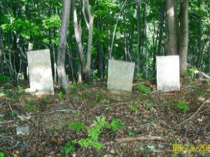 Dean Family Cemetery Located on the North side of Hopkins Rd, between Fitch Farm Rd and the Hume line. The cemetery is approximately 150’...