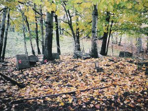 Hopkins Family Cemetery 1833-1887; Rushford Road, Town of Centerville, Allegany County, NY. More information about Hopkins Family Cemetery,...