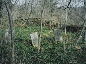 Lane Cemetery Located County Rd 23 -- West side of the road, At roadside edge, high above road -- Between Pratt Rd & Rushford Line....