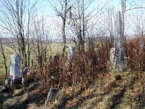 Rogers Cemetery Rogers Cemetery is located on Rogers Road (Lot 8 on the 1869 Map) in the town of Centerville. It is visible from the...