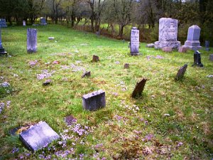 Weaver Settlement Cemetery More information about Weaver Settlement Cemetery, including listings, at this link.