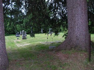 Fulmer Valley Cemetery Cemetery is on Livermore Road, Town of Independence. More information about Fulmer Valley Cemetery, including listings,...