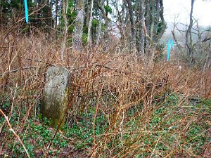 Black Tucker Cemetery The cemetery is located on the Vandermark Road, on the western edge of the Vandermark State Forest. It is about 100...