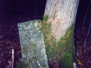 Reynolds Cemetery Reynolds Cemetery is located approx. 150 yards south of state route 244, east of Phillips Creek village. There are 6...