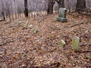 Wadsworth Hill Cemetery Wadsworth Hill Cemetery is a small family cemetery consisting of 21 known graves and several graves marked only by slate...