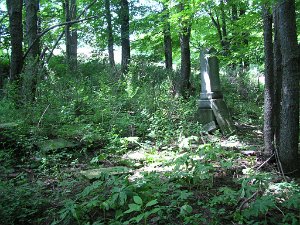 Voorhees Hill (aka Sherwood) Cemetery Voorhees Hill-Lot 79 W&F Tract, Town 2, Range 1 - 5 miles east of Wellsville,NY More information about Voorhees...