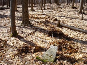 French Cemetery This Cemetery is located at the southern end of Palmers Pond State Forest off North Road, in West Almond. Located just...