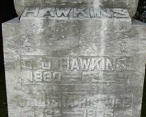 Hawkins 1d