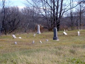 Shongo Cemetery Two adjacent cemeteries make up the Shongo Cemetery - The Walden Cemetery and The Jenison-Hawks-Stephens-Peet Cemetery....