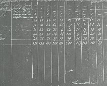 1309-Nunda & TOTALS