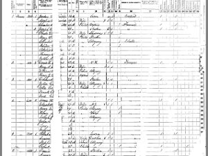 Allen Allen 1865 Census