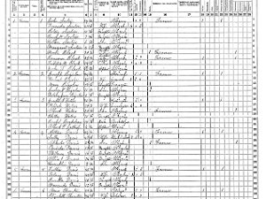 Amity Amity 1865 Census