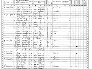 Andover Andover, N.Y. 1865 Census