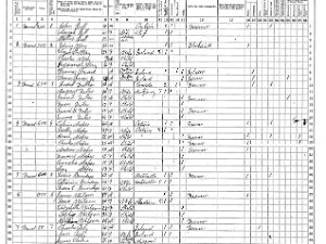 Angelica Angelica 1865 Census