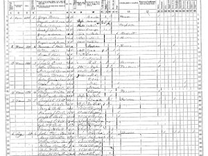 Birdsall Birdsall 1865 Census
