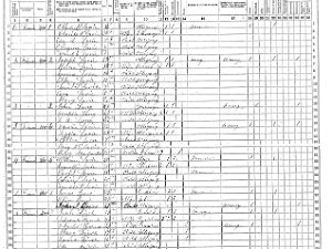 Bolivar Bolivar 1865 Census