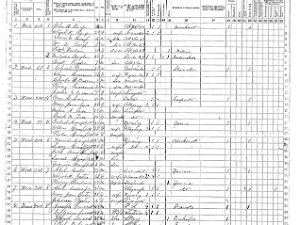 Burns Burns 1865 Census
