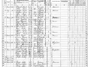 Granger Granger 1865 Census