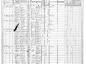 Willing Willing 1865 Census