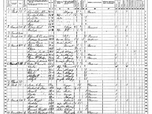 Wirt Wirt 1865 Census