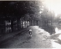 North Brooklyn Ave. June 1946