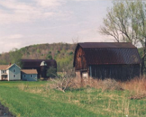 barns 04-1 Along Rte. 305, North of West Clarksville toward Cuba, NY