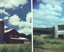 barns 08-3 Along Allegany Co. Rte. 244 between Belmont, NY & Alfred, NY