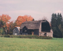 barns 13-3 Rte. 417 between Little Genesee & Ceres, NY, Boler Farm.