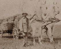 Agriculture_03 W L Weaver; his horse's names were Tom & Fred (a matched team). This original photo measures 3x 4 and has been restored many times to correct any defects caused...