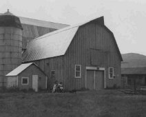 Barns_34 This 1948 photo from Ron Taylor's collection; Little Genesee, NY-Stone/Taylor/Ford/Buell Farm...