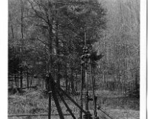 Oil11 A jumping jack oil well jack used for pumping oil from ground. From Dick Fitch Collection