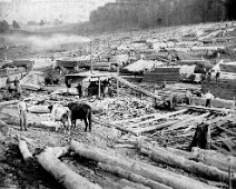 Timber_04 Photo of a Lumbering Operation Near Andover, NY (Devils Kitchen), Off Shovel Hollow Road. Date unknown, but, must have been in the area ending the...