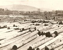 Belmont_11 Logs: Phillip Creek Mill Pond � Belmont; looking at Erie Station Dammed up the creek and floated logs down in spring, removed dam later and let the water flow....
