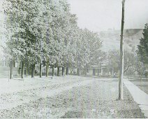 1_Maple_AVE_AndoverNY_Grossman This is a picture of 1 Maple Street, Andover, NY from about 1890. This house was occupied by the Grossman Family from 1946 to the early 2000's. (Thanks for...