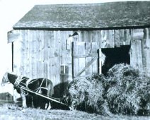 Weaver_barn Hay Barn at Weaver Home for W L Weaver's Hay Business, Weaver Settlement. Time, around 1900. Submitted by Jim Gelser.