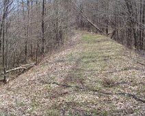 09 Further South Beyond V-C Creek