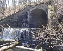 10 V-C Creek from Gound Level on East Side